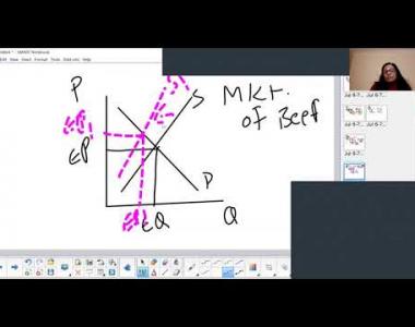 Embedded thumbnail for Revision on diagrams